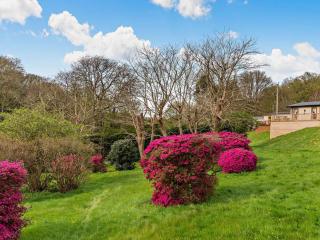 2 Bed in Newport oc-94717 - 7