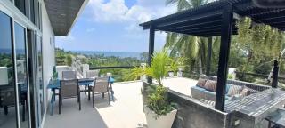 Ocean and Palm View Villa - 2