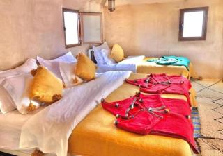 starlink luxury camp - 5