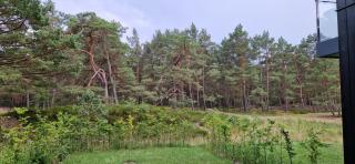 apartament Porto Łeba z ogródkiem - 1