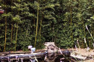 Le Gite de la Butte - 7