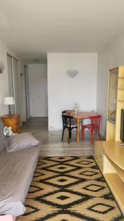 Appartement N1 F1 vue mer Route des Sanguinaires - 6