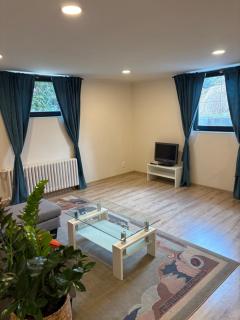 Nature Apartment Karlovy Vary Kolová - Karlsbad - 8