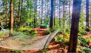 Cozy Spacious Cottage on Private Island for an Unforgettable Family Adventure on Brantingham Lake, New York - 6