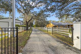 Modern Spacious Getaway: Heated Pool, Movie Room, Huge Yard & Event-Friendly in New Port Richey, Florida - 8