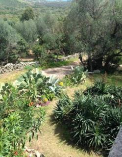 Villa T2 St Cyprien - 7
