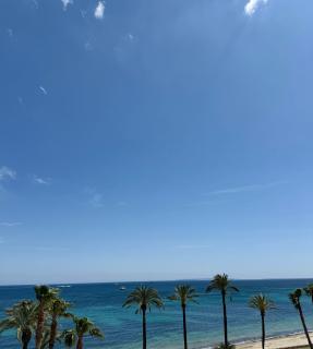 Modern seaview Bossa - 0