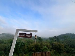 Camping phutajoy Khaosok แคมป์ปิ้งภูตาจ้อยเขาศก - 5