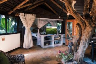 Lavington Treehouse - 9