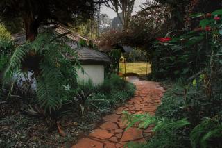 Lavington Treehouse - 2