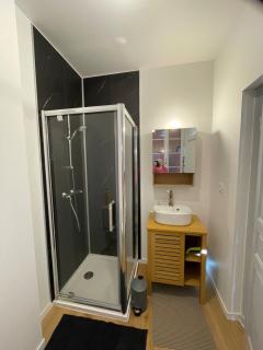 grand appartement lumineux proche du centre avec cour privée - 7
