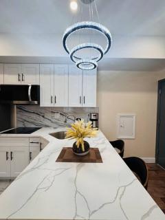 Brand New Renovated Modern Apt next to Chinatown - 9