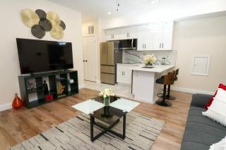 Brand New Renovated Modern Apt next to Chinatown - 3