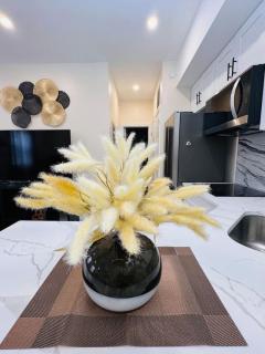 Brand New Renovated Modern Apt next to Chinatown - 1