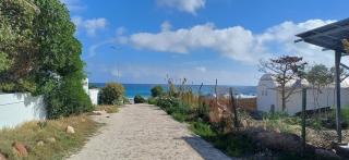 Charming apartment 2 minutes from Mansourah sea - 4