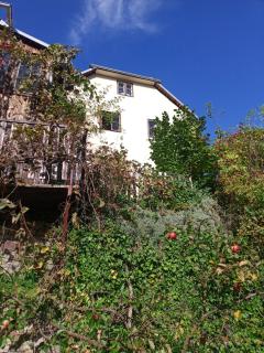 Apartmán U Muzikanta - 9