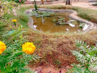 Bundala Resort - 2