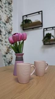 Apartman sa garažom i internetom - 4