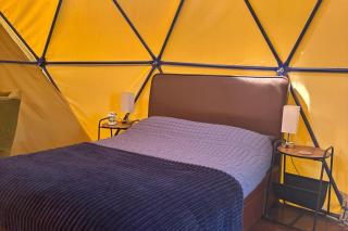 Geodesic Dome with sea views - 5