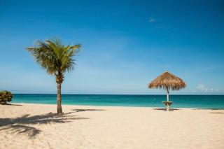 Apartment in paradise on the happy island of ARUBA, beachfront - 7