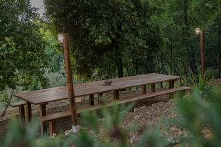 Villa Arianna - Tuscany View - 5