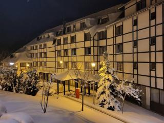 Premium 4-Star Ski Studio Brzece - 300m to Gondola - 2