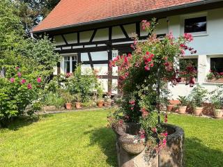 Gästezimmer Flora Hanauerland - Kunst & Natur nahe Straßburg - 9