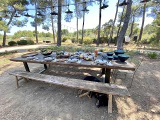 LA PLANQUE DES ALPILLES - 6