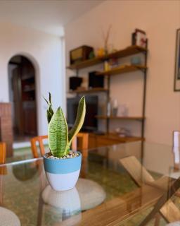 Villa Rosamaria Exclusive Sorrento & Amalfi coast - 1