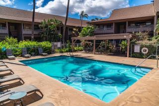 Kihei Bay Vista C-201 - Kihei 1BR Condo, AC, Lanai, WiFi, 45 Sec to Sugar Beach! - 8