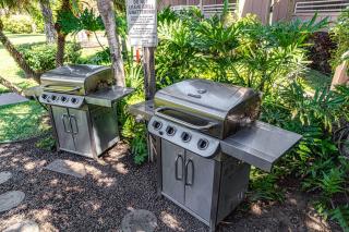 Kihei Bay Vista C-201 - Kihei 1BR Condo, AC, Lanai, WiFi, 45 Sec to Sugar Beach! - 6