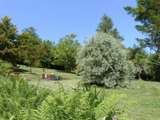 Orchard Cottage-B5811 - 1