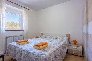 Apartment Lea Puče - Happy Rentals - 9