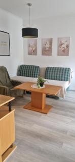 Zen Apartman Villach - 1