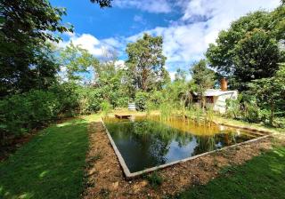 Casa da Floresta - 6