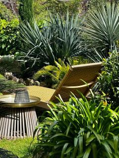 Un palmier à sa fenêtre - Grasse - 2