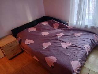Tiha noc apartmani - 6