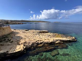 New 1 BR Oceanfront Apartment by MaBeLi - 3