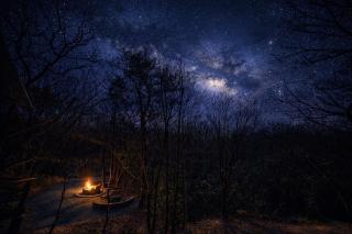 久住みんなの森ロッジ202号-Kuju Forest Retreat 最大4名 - 4