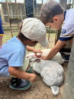 Casa de luxo em Gravatá - 9