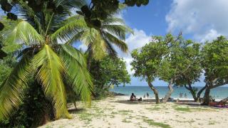 Appartement spacieux étage maison avec jardin à Ste Anne - 0