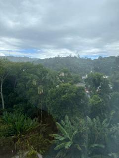 Boutique hostel Blumenau - 9