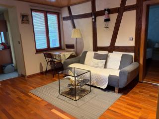 AUX DEUX CIGOGNES AMMERSCHWIHR - Ammerschwihr - 7