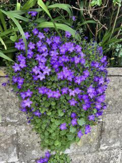 Lifeboat Lookout Bungalow - 1