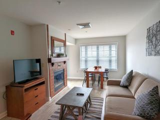 Newly renovated Sunset view 1 bedroom - 0