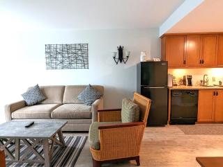 Newly renovated Sunset view 1 bedroom - 4