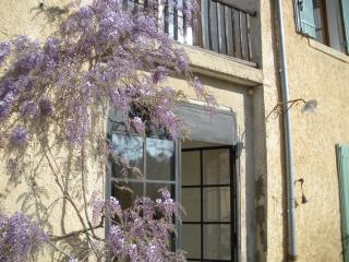 Mas la Vitalis Chambres D'Hôtes - LʼIsle-sur-la-Sorgue - 3
