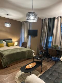 Hyper Center Strasbourg & Petite France Premium Apartment - 4
