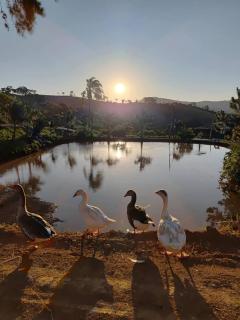 Pousada irmãos Oliveira - 4