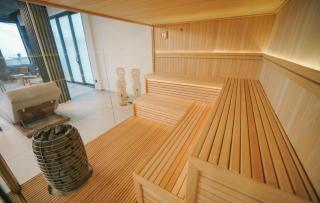 Apartman Holiday Zlatibor, Wellness & spa - 1